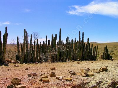 Paysage du monde - Photo libre de droit - PABvision.com