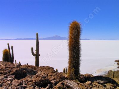 Paysage du monde - Photo libre de droit - PABvision.com