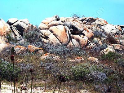 île de Corse - Photo libre de droit - PABvision.com