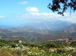 La Corse, vue de l'intérieur de l'île