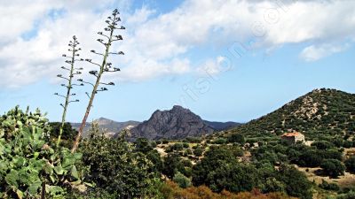 l'le de Corse - Photo libre de droit - PABvision.com