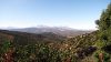 l'�le de Corse