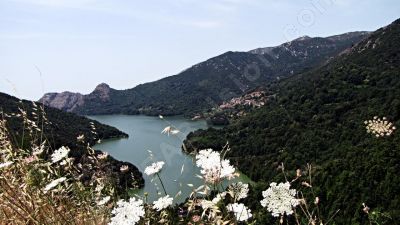 le de Corse - Photo libre de droit - PABvision.com