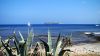 �le de Corse