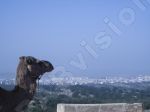 Point de vue sur Essaouira