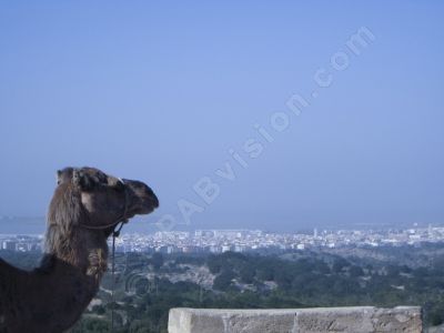 Point de vue sur Essaouira - Photo libre de droit - PABvision.com