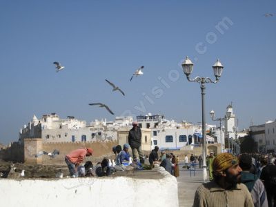 Les Pêcheurs nettoyent leurs poissons - Photo libre de droit - PABvision.com
