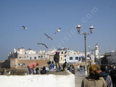 Les Pcheurs nettoyent leurs poissons - Photo libre de droit - PABvision.com