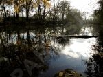 Paysage d'automne vieille thielle Cressier