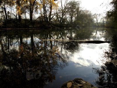 Paysage d'automne vieille thielle Cressier - Photo libre de droit - PABvision.com