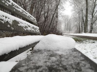 Le dbut de l'hiver - Photo libre de droit - PABvision.com