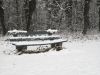 Le d�but de l'hiver