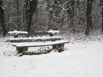 Le début de l'hiver - Photo libre de droit - PABvision.com