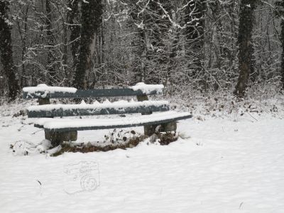 Le dbut de l'hiver - Photo libre de droit - PABvision.com