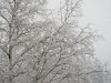La beaut� de l'hiver sur la nature