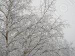La beaut de l'hiver sur la nature