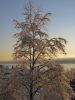 La beaut� de l'hiver sur la nature