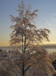 La beaut de l'hiver sur la nature