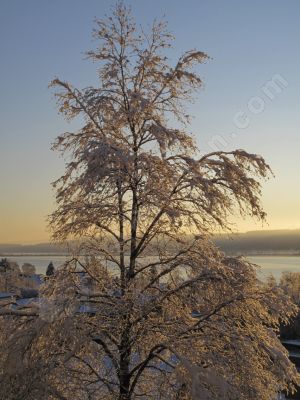 La beauté de l'hiver sur la nature - Photo libre de droit - PABvision.com