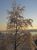 La beaut de l'hiver sur la nature - Photos