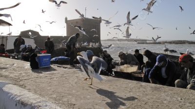 Pêcheurs nettoyent leurs poissons - Photo libre de droit - PABvision.com