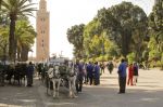 Vue sur la Koutoubia