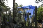 Marrakech, jardin Majorelle