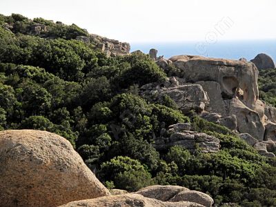 le de Corse - Photo libre de droit - PABvision.com