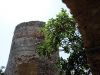 Corse, tour G�noise.