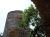 Corse, tour Gnoise. - Photos