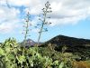 �le de Corse