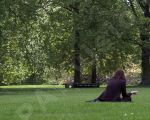 Photo libre - Parc  Londres