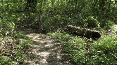 Paysage de printemps - Photo libre de droit - PABvision.com