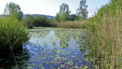 Etang  - Photo libre de droit - PABvision.com