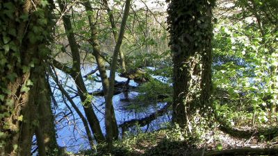 Etang - Photo libre de droit - PABvision.com