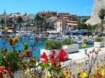 le petit port de Calvi.