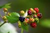 M�res