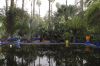 Marrakech, jardin Majorelle