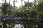 Marrakech, jardin Majorelle