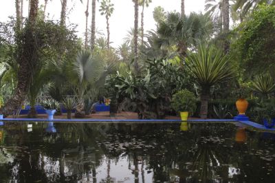 Marrakech, jardin Majorelle - Photo libre de droit - PABvision.com