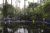 Marrakech, jardin Majorelle - Photos