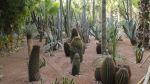 Marrakech, jardin Majorelle