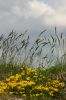 Jour de printemps