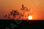 Coucher de soleil
