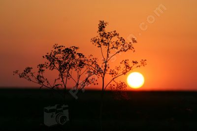 Coucher de soleil - Photo libre de droit - PABvision.com