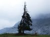 Paysage de montagne