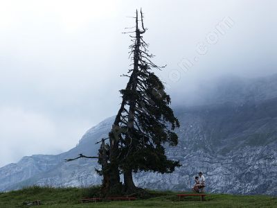 Paysage de montagne - Photo libre de droit - PABvision.com