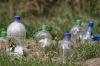 Des serres de jardin bon march�
