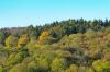 Les couleurs de l'automne