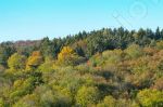 Les couleurs de l'automne